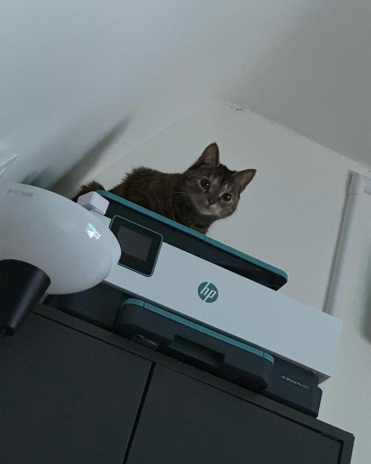 Hp Officejet Pro 8025, Computers en Software, Printers, Gebruikt, All-in-one, Inkjetprinter, Faxen, Kleur printen, Kopieren, Mailen