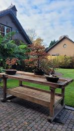 Beuken Houten werkbank + bankschroeven, Doe-het-zelf en Bouw, Werkbanken, Ophalen, Gebruikt, 70 tot 120 cm, Bankschroef