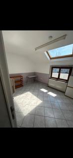 A louer une chambre en Colocation avec domiciliation, Immo, Minder dan 20 m², Charleroi