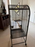 Vogelkooi, Dieren en Toebehoren, Ophalen, Zo goed als nieuw, Vogelkooi