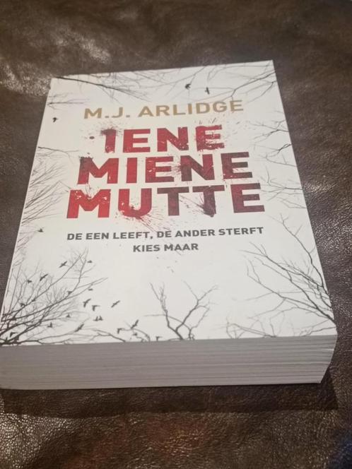 M J ARLIDGE-IENE MIENE MUTE., Livres, Thrillers, Comme neuf, Enlèvement