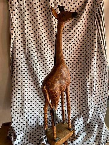 Giraf beeld beschikbaar voor biedingen