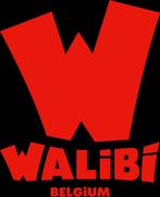4 tickets voor Walibi, Tickets en Kaartjes, Recreatie | Pretparken en Attractieparken, Eén persoon, Ticket of Toegangskaart
