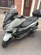 Honda forza 125 cc, Motoren, Motoren | Yamaha, Particulier, ABS, 11 kW of minder