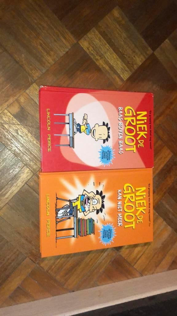 2 Niek de groots (€3) per boek, Boeken, Kinderboeken | Jeugd | onder 10 jaar, Gelezen, Fictie algemeen, Ophalen