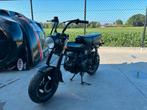 Dax bluroc Heritage 50cc B klasse, Fietsen en Brommers, Brommers | Honda, Ophalen of Verzenden