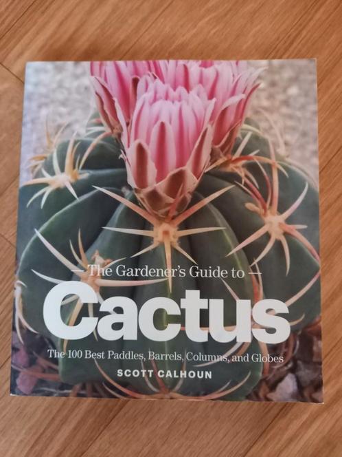 CACTUS, Boeken, Natuur, Zo goed als nieuw, Ophalen of Verzenden