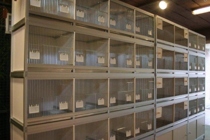 Aluminium kweek- en vluchtkooien, Dieren en Toebehoren, Vogels | Hokken en Kooien, Nieuw, Broedkooi of Kweekkooi, Aluminium, Ophalen