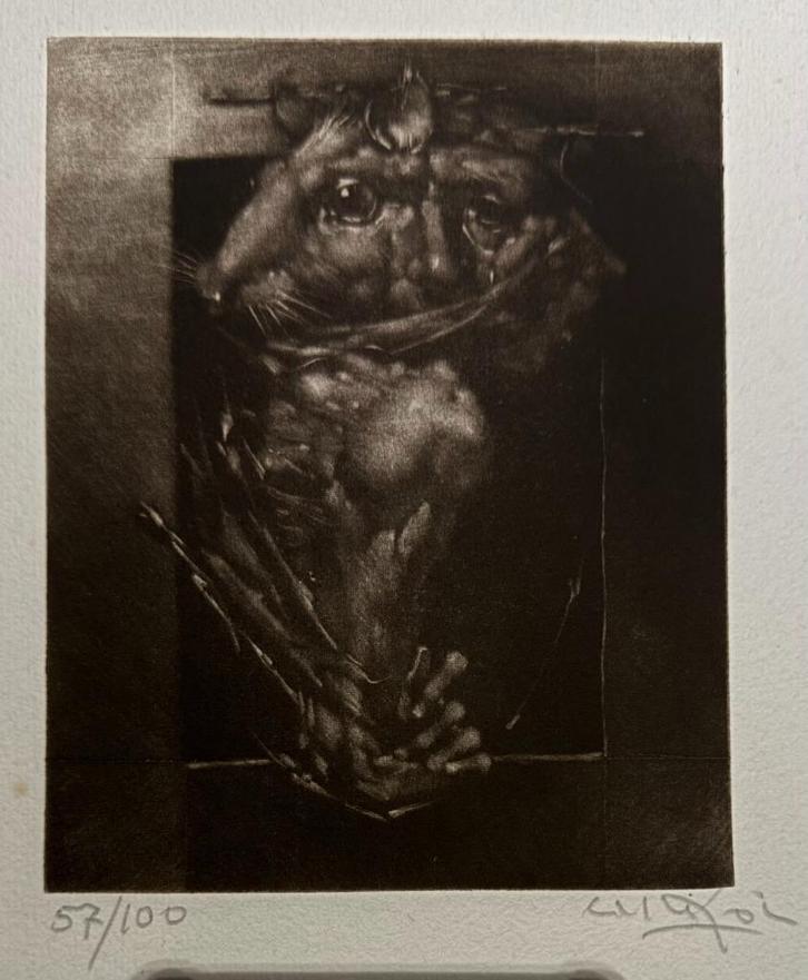 Engraving by Joan Castejon, signed and numbered 57/100,1980, Collections, Collections Autre, Neuf, Enlèvement