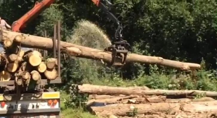 Goedkoop brandhout voor de doe-het-zelver (stammen voor ), Tuin en Terras, Brandhout, Stammen, Overige houtsoorten, 6 m³ of meer