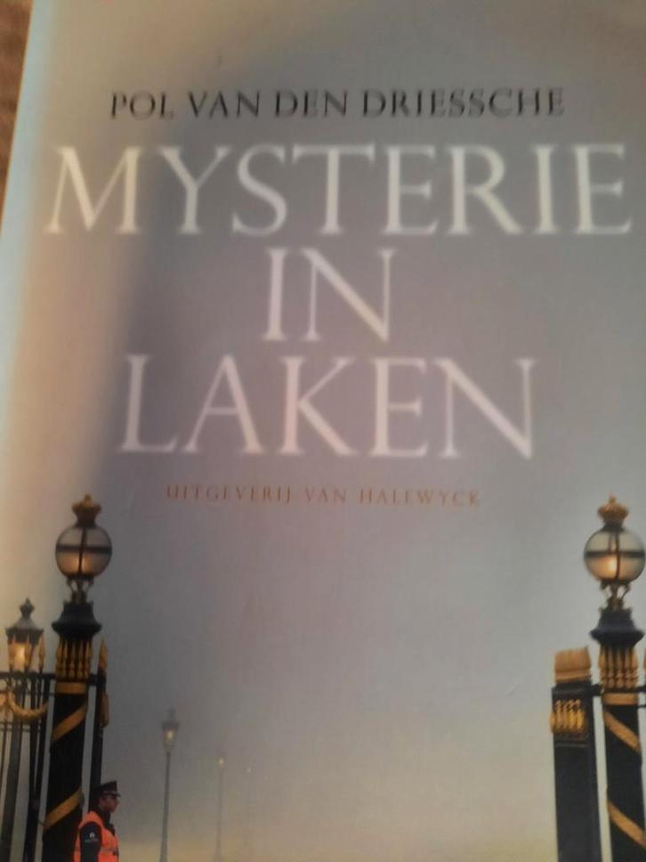 Mysterie laken.koningshuis.jill peeters.marie-rose morel, Boeken, Literatuur, Zo goed als nieuw, Ophalen