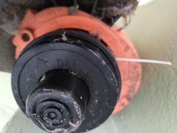 Bosmaaier  beschikbaar voor biedingen