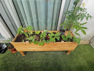 Grande jardinière en bois  - 120cm L / 35 P / 50 H beschikbaar voor biedingen