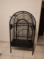Papegaai kooi, Dieren en Toebehoren, Ophalen, Zo goed als nieuw