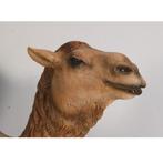 Dromedary Camel – Dromedaris beeld Lengte 250 cm, Verzamelen, Dierenverzamelingen, Nieuw, Ophalen of Verzenden
