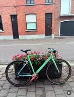 Elops speed 900 mint edition, 51 tot 55 cm, Ophalen, Elops ( Decathlon ), Jaren '60 of nieuwer