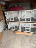 Kweekkooi voor vogels, Ophalen, Zo goed als nieuw, Hout, Broedkooi of Kweekkooi