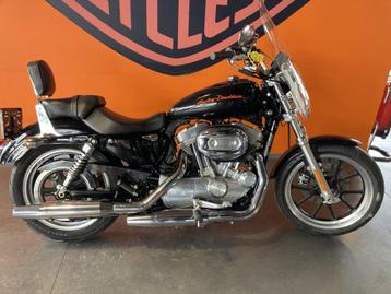 Harley-Davidson SPORTSTER Xl 883 low (bj 2013) beschikbaar voor biedingen