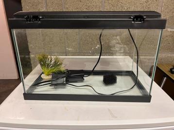 Aquarium beschikbaar voor biedingen