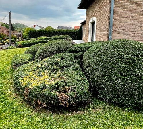 Parcs et jardins, Diensten en Vakmensen, Tuinmannen en Stratenmakers