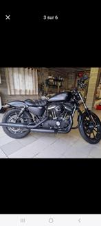 Harley davidson iron 883 version fkacdo année 2017 km10000, Motos, Particulier