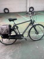 Elektrische fiets Giant, Fietsen en Brommers, Ophalen, Gebruikt, Giant