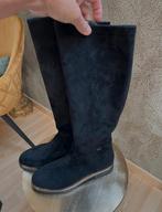 Knielaarzen Nathan-Baume, Enlèvement ou Envoi