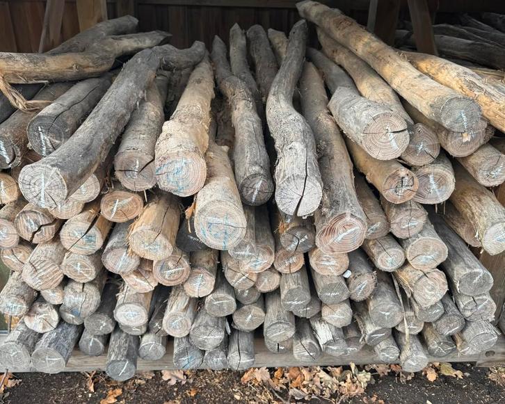 Acacia palen, Tuin en Terras, Palen, Balken en Planken, Nieuw, Palen, Ophalen