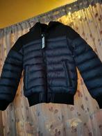 Schott puffer jas nieuw met label 152 12 jaar, Schott, Verzenden, Nieuw, Jongen