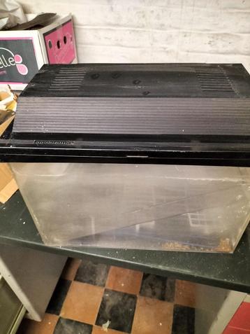 aquarium - vivarium beschikbaar voor biedingen