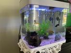 Aquarium, Ophalen, Zo goed als nieuw, Leeg aquarium