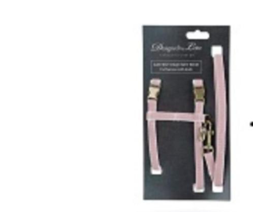 Nieuw tuig + riem voor  kleine hond of kat, Dieren en Toebehoren, Honden-accessoires, Nieuw, Ophalen of Verzenden
