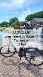 Victoria elektrische fiets, Fietsen en Brommers, Elektrische fietsen, 47 tot 51 cm, Ophalen, Zo goed als nieuw, Overige merken