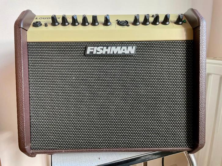 Fishman Loudbox miniversterker, Muziek en Instrumenten, Versterkers | Bas en Gitaar, Zo goed als nieuw, Gitaar, 50 tot 100 watt
