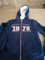 vest maat 146 - 152, Kinderen en Baby's, Kinderkleding | Maat 146, Ophalen of Verzenden, Zo goed als nieuw, Meisje, Trui of Vest