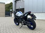 SUZUKI SV650, Naked bike, 2 cylindres, Plus de 35 kW, 645 cm³