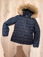 Winterjas Tommy Hilfiger maat XS, Kleding | Dames, Jassen | Winter, Ophalen, Tommy hilfiger, Blauw, Maat 34 (XS) of kleiner