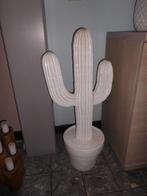 grote cactus voor huisdecoratie, Ophalen