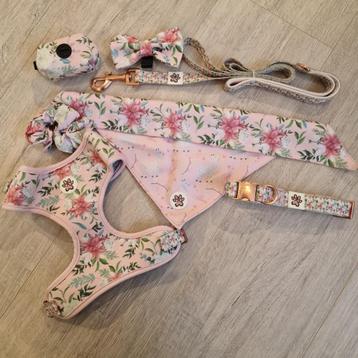 Set wandelen hond tuigje riem halsband M bloemen beschikbaar voor biedingen