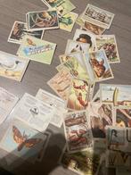 Lot verzamelkaarten Jaques chocolade, Enlèvement ou Envoi