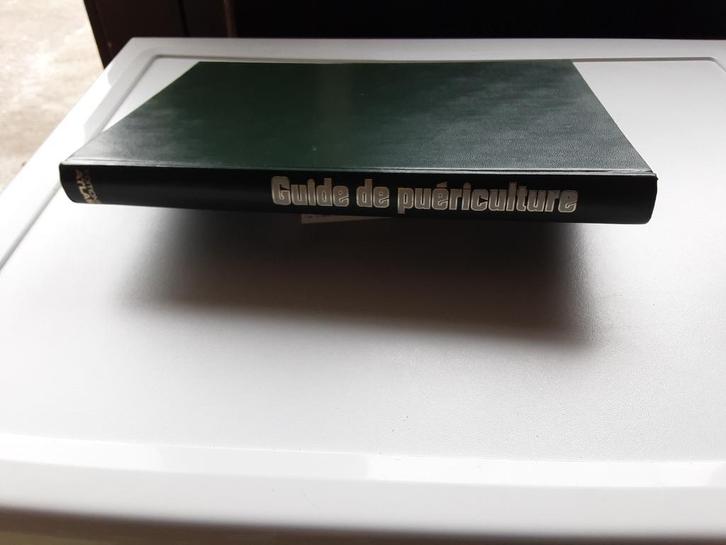 GIDS VOOR KINDEROPVANG, Boeken, Overige Boeken, Zo goed als nieuw, Ophalen of Verzenden