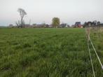 Weide te huur, Dieren en Toebehoren, Stalling en Weidegang, Weidegang, 2 of 3 paarden of pony's