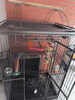 Cage perroquet, Dieren en Toebehoren, Ophalen of Verzenden, Zo goed als nieuw