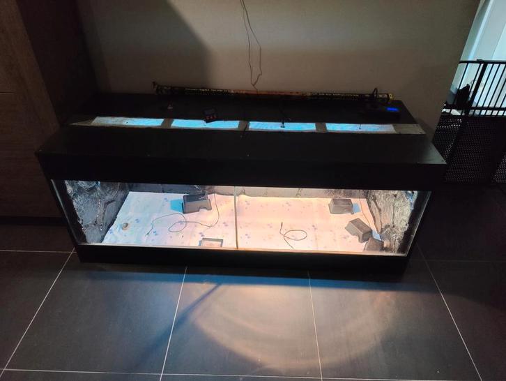 Grote terrarium, Dieren en Toebehoren, Reptielen en Amfibieën | Toebehoren, Zo goed als nieuw, Terrarium of Paludarium, Ophalen