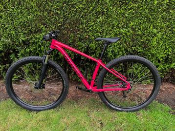 Specialized Rockhopper 29" maat S (158-165cm)