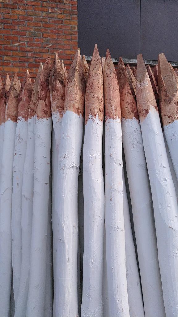 Groot lot kastanje palen 230cm - wit geschilderd, Tuin en Terras, Palen, Balken en Planken, Palen, 180 tot 250 cm, Ophalen