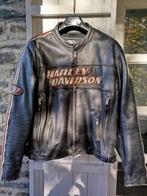 Veste en cuir Harley Davidson - taille L, Seconde main, Harley Davidson avec protection coudes et épaules +doublure, Manteau | cuir