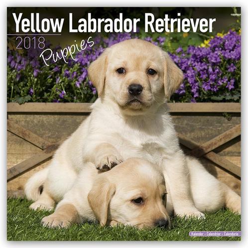 Calendrier des chiots du Labrador 2018, Divers, Calendriers, Neuf, Calendrier annuel, Envoi