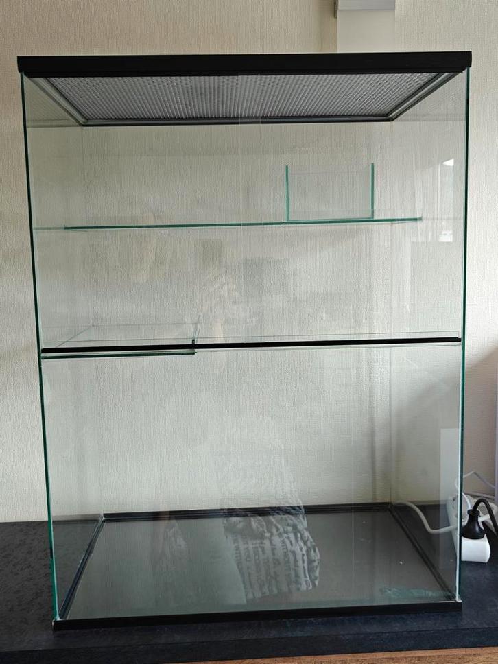 Glazen terrarium met 2 plateaus, Dieren en Toebehoren, Reptielen en Amfibieën | Toebehoren, Zo goed als nieuw, Overige typen, Ophalen
