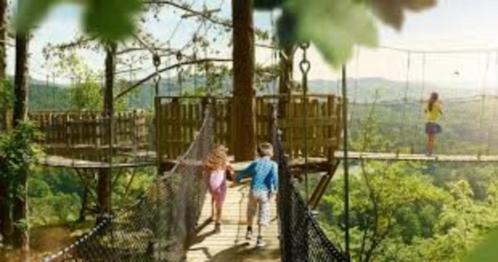 Abonnementen op de Grotten van Han, Tickets en Kaartjes, Recreatie | Overige, Drie personen of meer, Ticket of Toegangskaart
